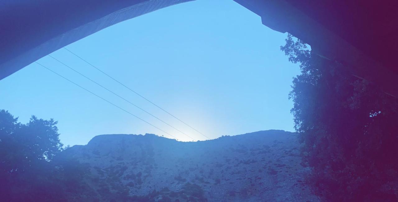 La Bergerie Du Chene Pension Omessa Buitenkant foto