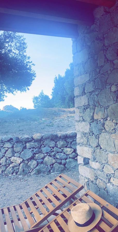La Bergerie Du Chene Pension Omessa Buitenkant foto