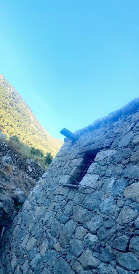 La Bergerie Du Chene Pension Omessa Buitenkant foto
