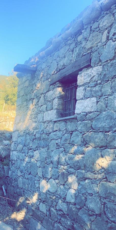 La Bergerie Du Chene Pension Omessa Buitenkant foto
