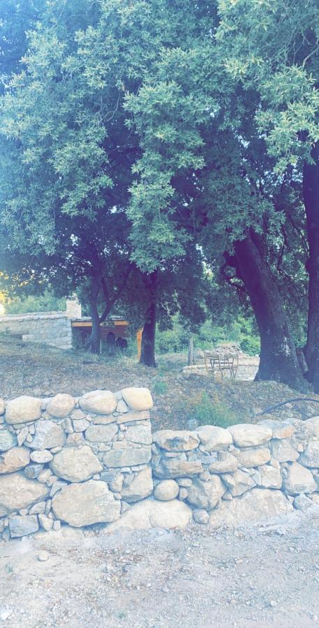 La Bergerie Du Chene Pension Omessa Buitenkant foto
